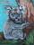 "Wally le petit koala" Aout 2009 -Pastel tendre - Format 32 x 42 cm